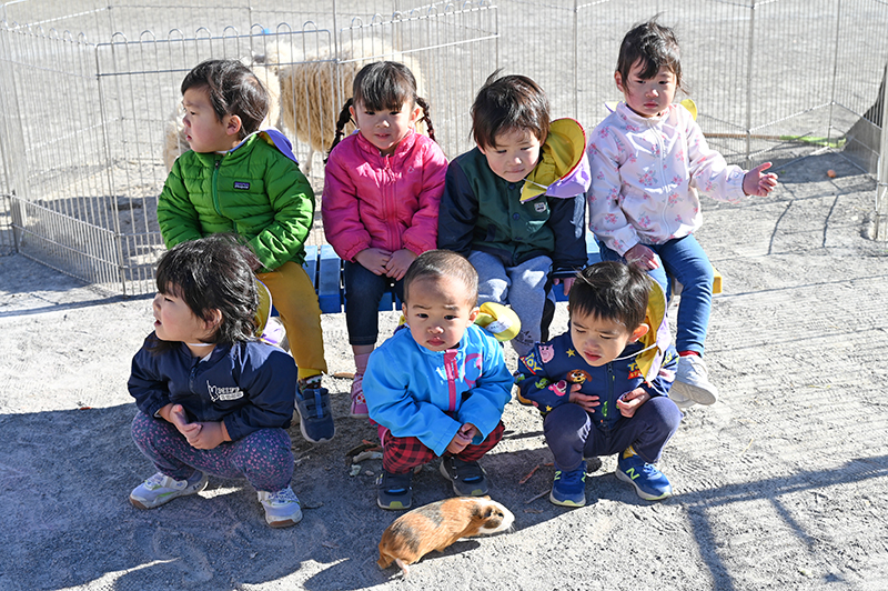 移動動物園の様子6