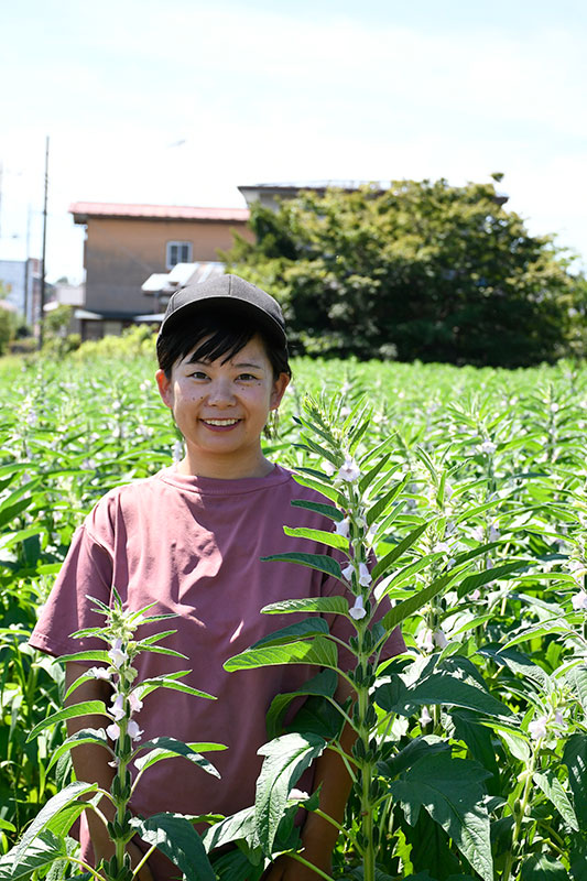 金ゴマ畑にいる鈴木香純さん