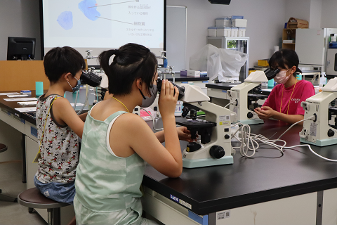 顕微鏡で自分の細胞を見ている小学生たち