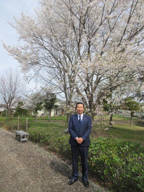 平成8年に北本市から友好の象徴として寄贈され、日高市総合福祉センター「高麗の郷」で大きく成長した「蒲ザクラ」と谷ケ崎市長