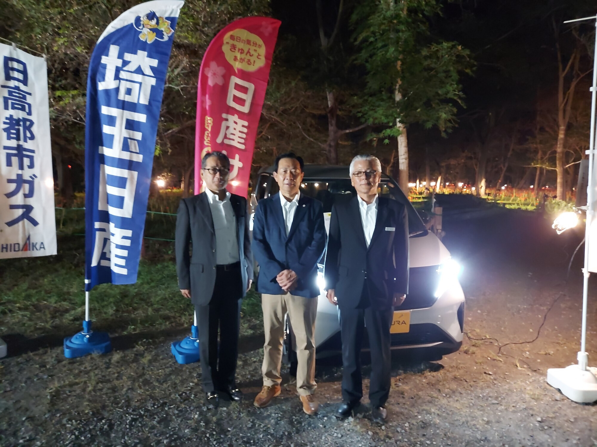 巾着田曼珠沙華公園ライトアップ1