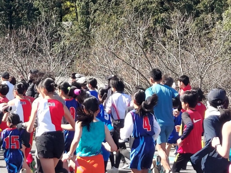 かわせみマラソン2