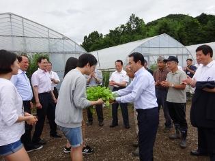 「高麗白菜の種蒔き・苗植え行事」に出席の写真3