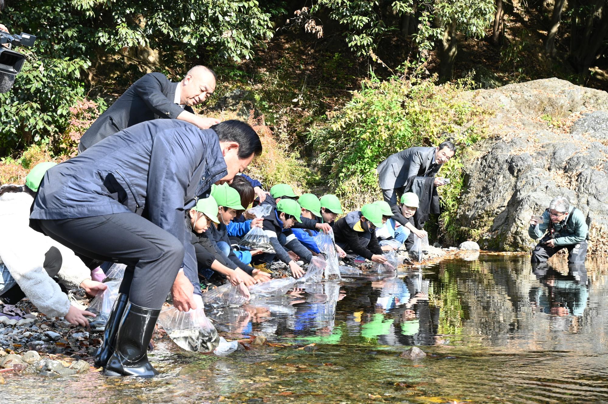 ウグイの放流