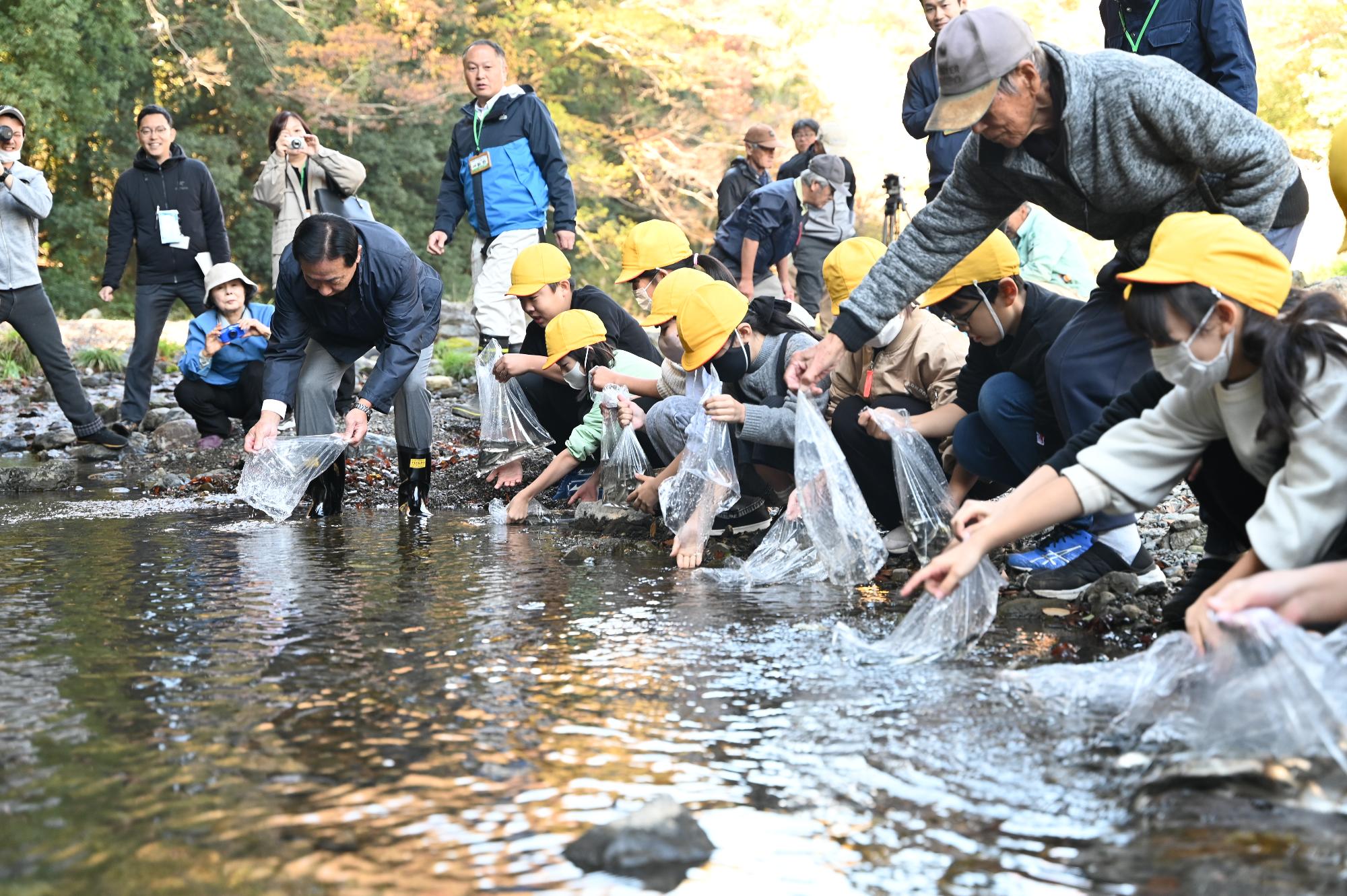 ウグイの放流