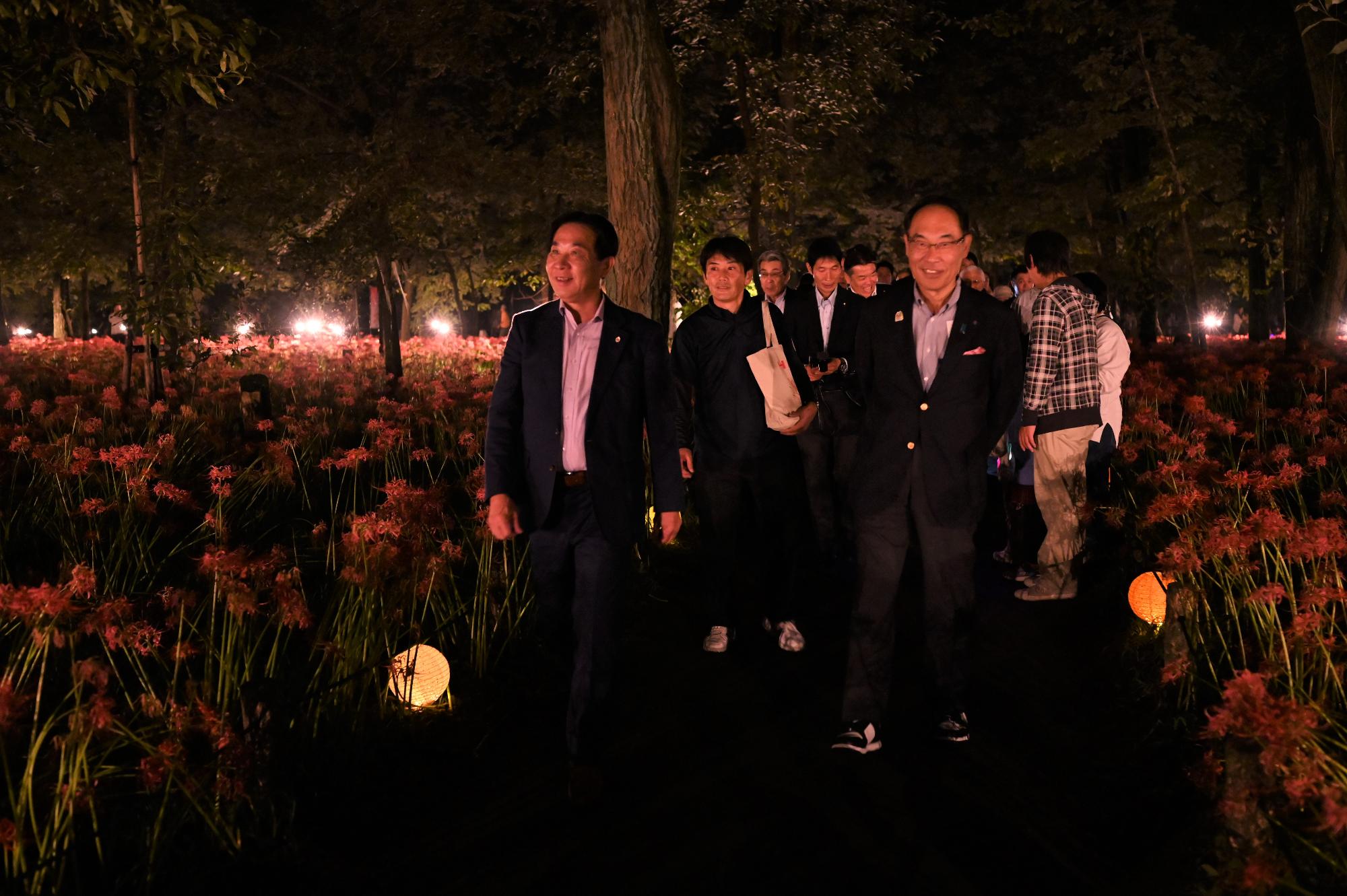 巾着田曼珠沙華公園ライトアップ