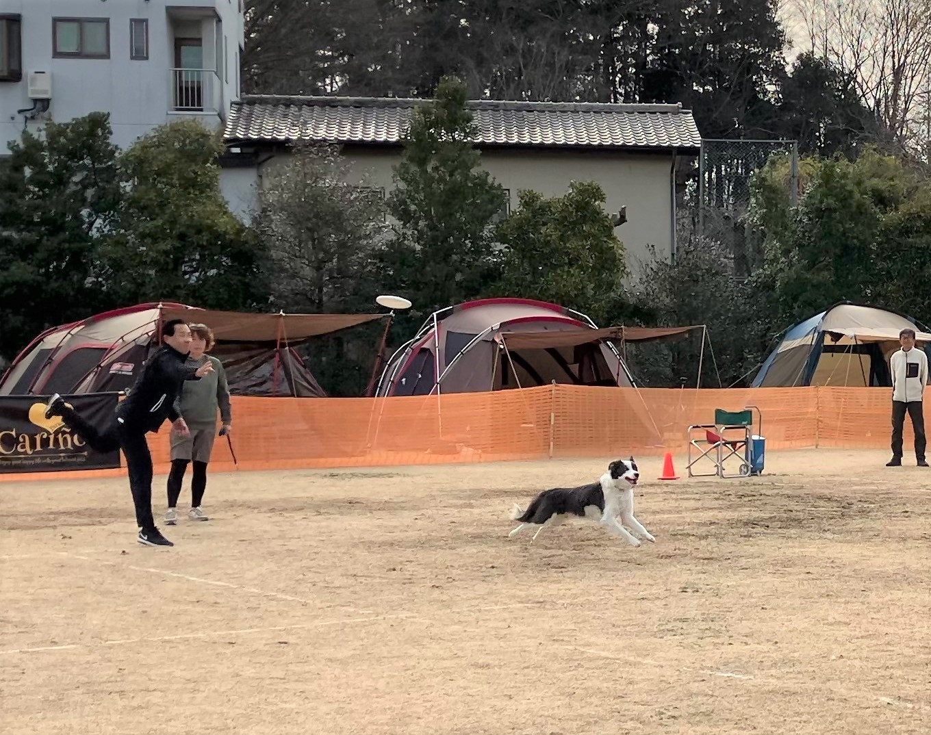 ディスクドッグin日高