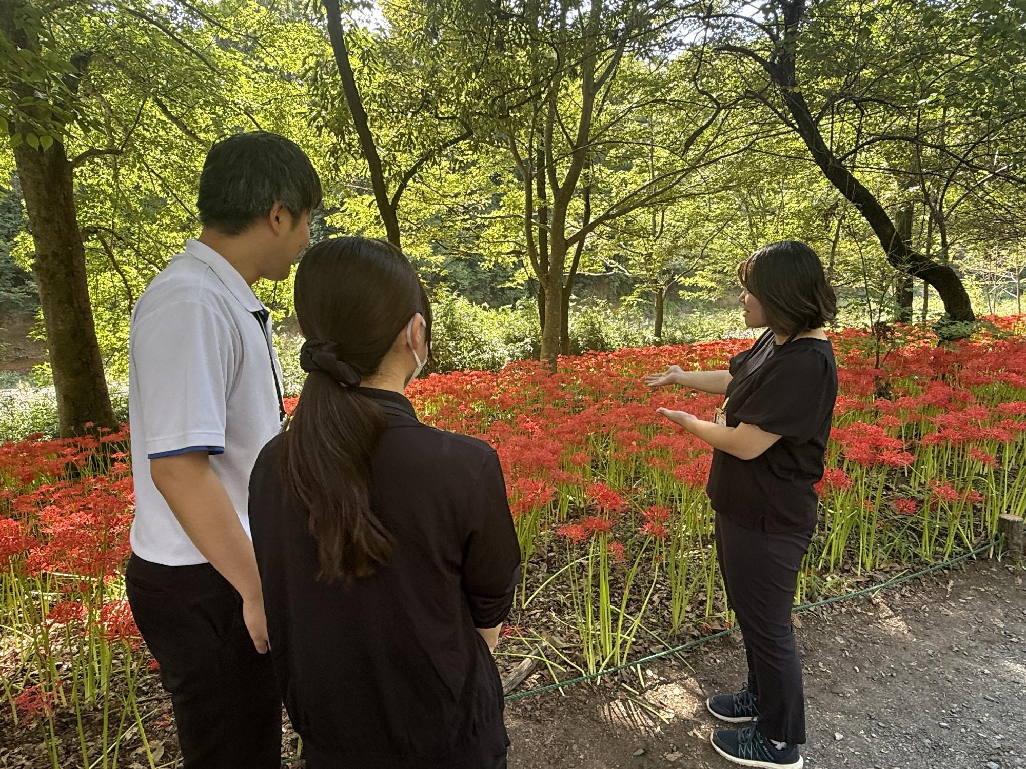 日高の魅力を案内している様子