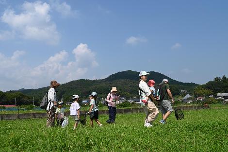 自然観察会の様子