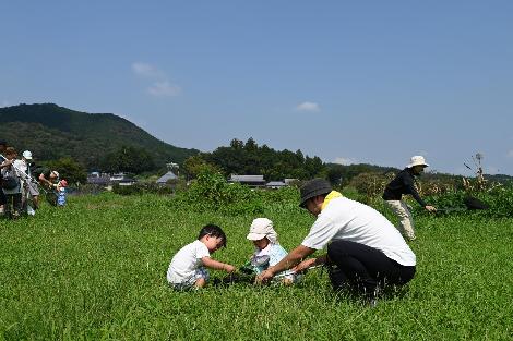 自然観察会の様子