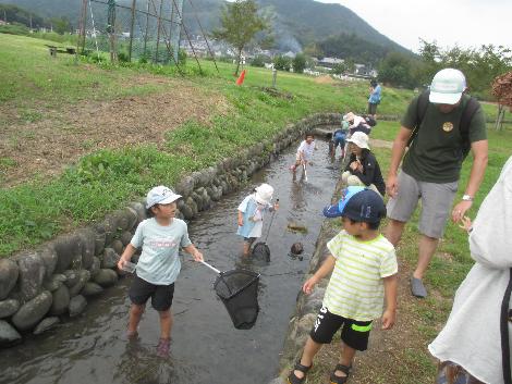自然観察会の様子