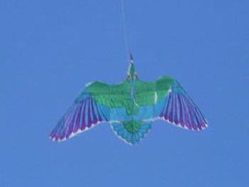 空に揚がった凧の写真