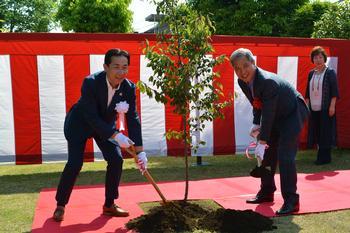 烏山市の市の花である「ウメ」を植樹する両市長の写真