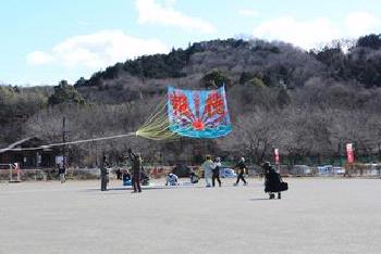 新宿・旭ヶ丘分館の大凧の写真