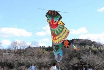 株式会社ニシカワ印刷の大凧の写真