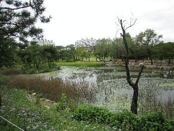 烏山市内にある植物園の写真