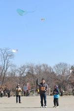 凧揚げ大会のいろいろな凧の写真5