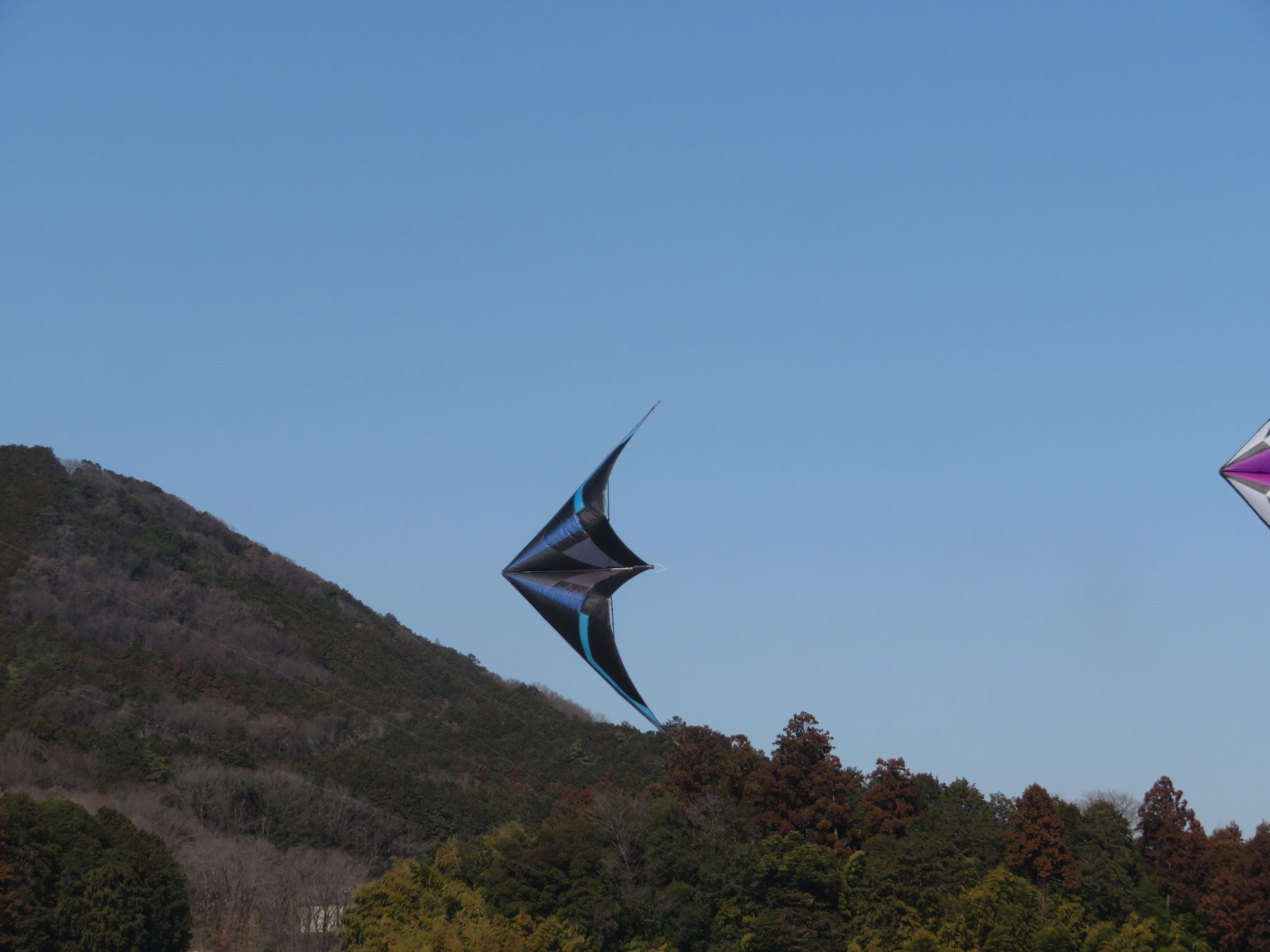 スポーツカイトのデモンストレーション
