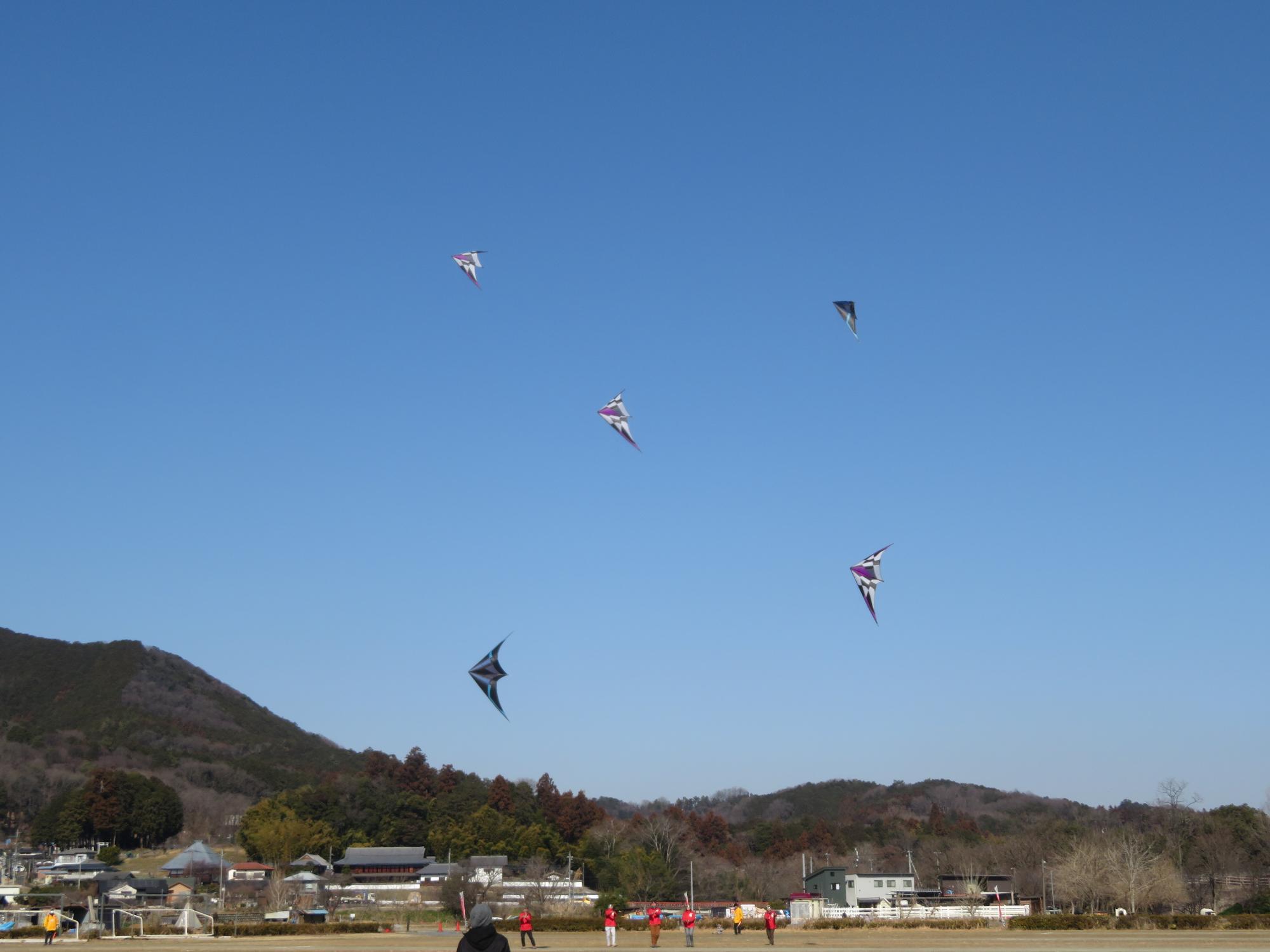 スポーツカイトのデモンストレーション