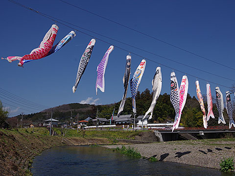 日和田山と高麗郷古民家を背景に撮影したこいのぼりの川渡し