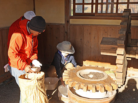 水車小屋の石臼でそばの実をひいているところ
